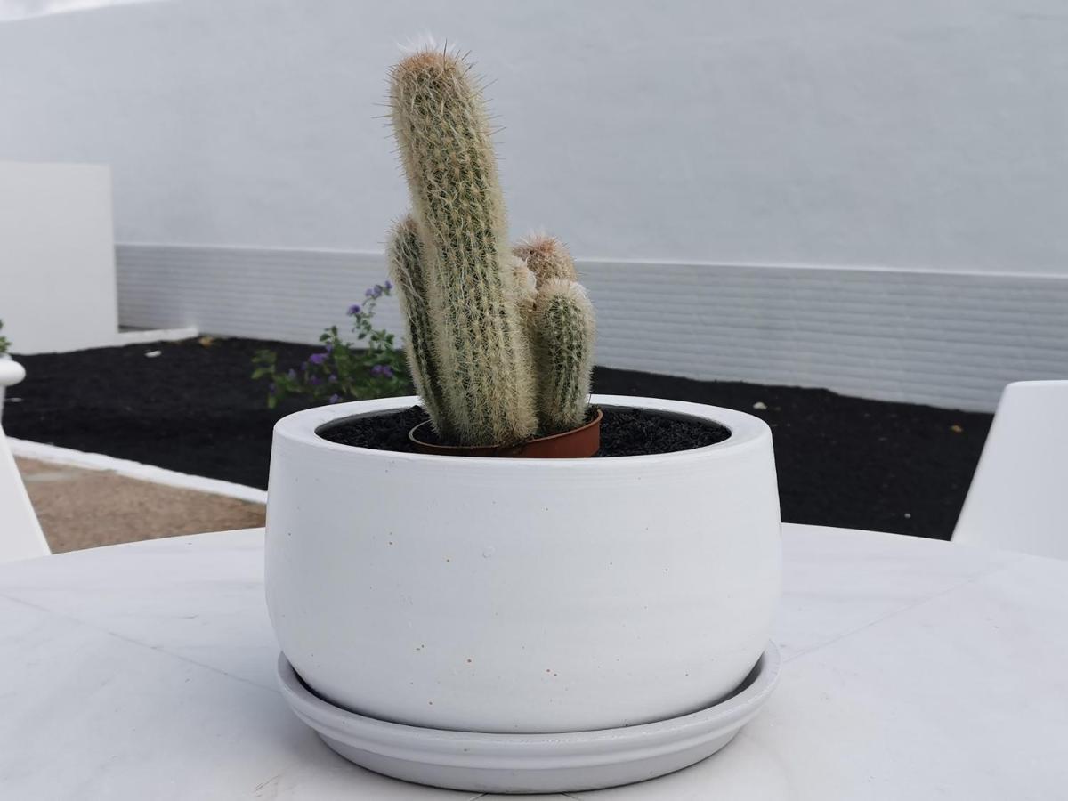 Apartamentos Anjomacar A Teguise  Zewnętrze zdjęcie